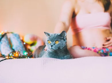 Grossesse et chat : comment vivre une grossesse tranquille et sans risque ?